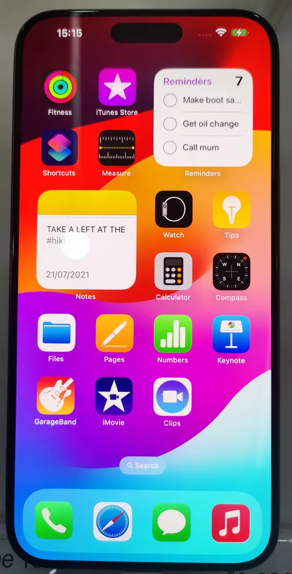 Front of an Apple iPhone 15 Pro Max showing its home screen